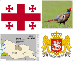 格鲁吉亚国旗/国徽/国歌/国鸟