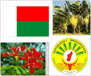 马达加斯加国旗/国徽/国歌/国花/国树