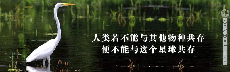 浙江苍南灵溪中秋节祭“三乳妈”习俗